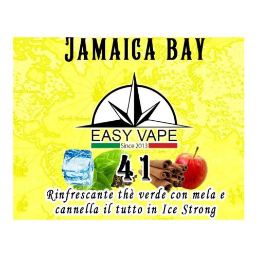 N.41 Jamaica Bay Easy Vape